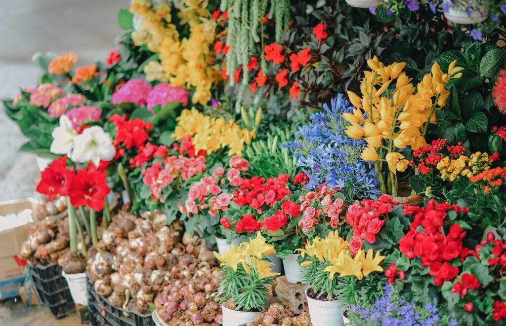 מה חשוב לקחת בחשבון בבחירת חנות פרחים בבאר שבע